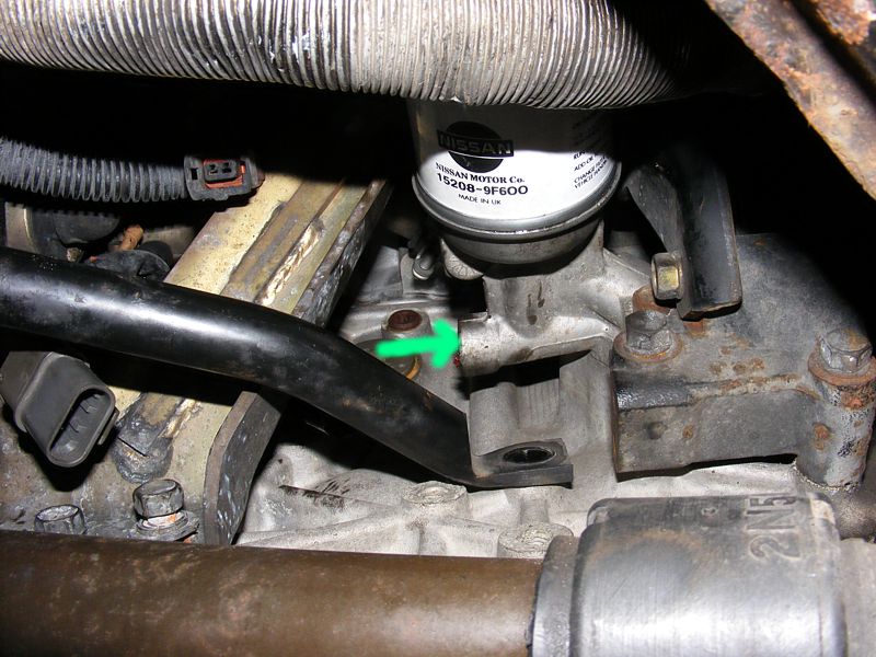 DSCF4955.jpg